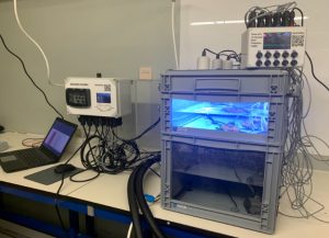 Indoor intertidal weather simulator for testing the effects of illumination, wind, temperature, and moisture on intertidal organisms.